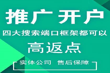 百度广告竞价排名实战技巧案例分析